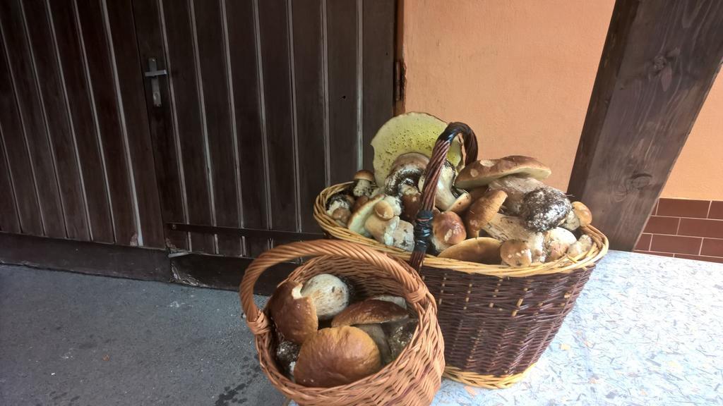 Penzion Jizerka Jablonec nad Nisou Eksteriør bilde